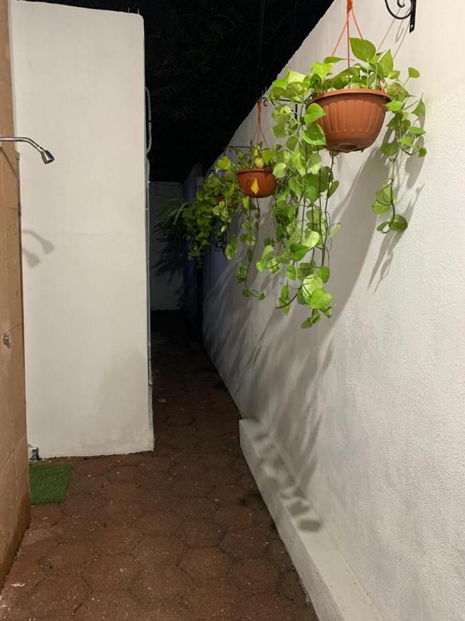 Vila Casa Naty Ciudad Valles Exteriér fotografie